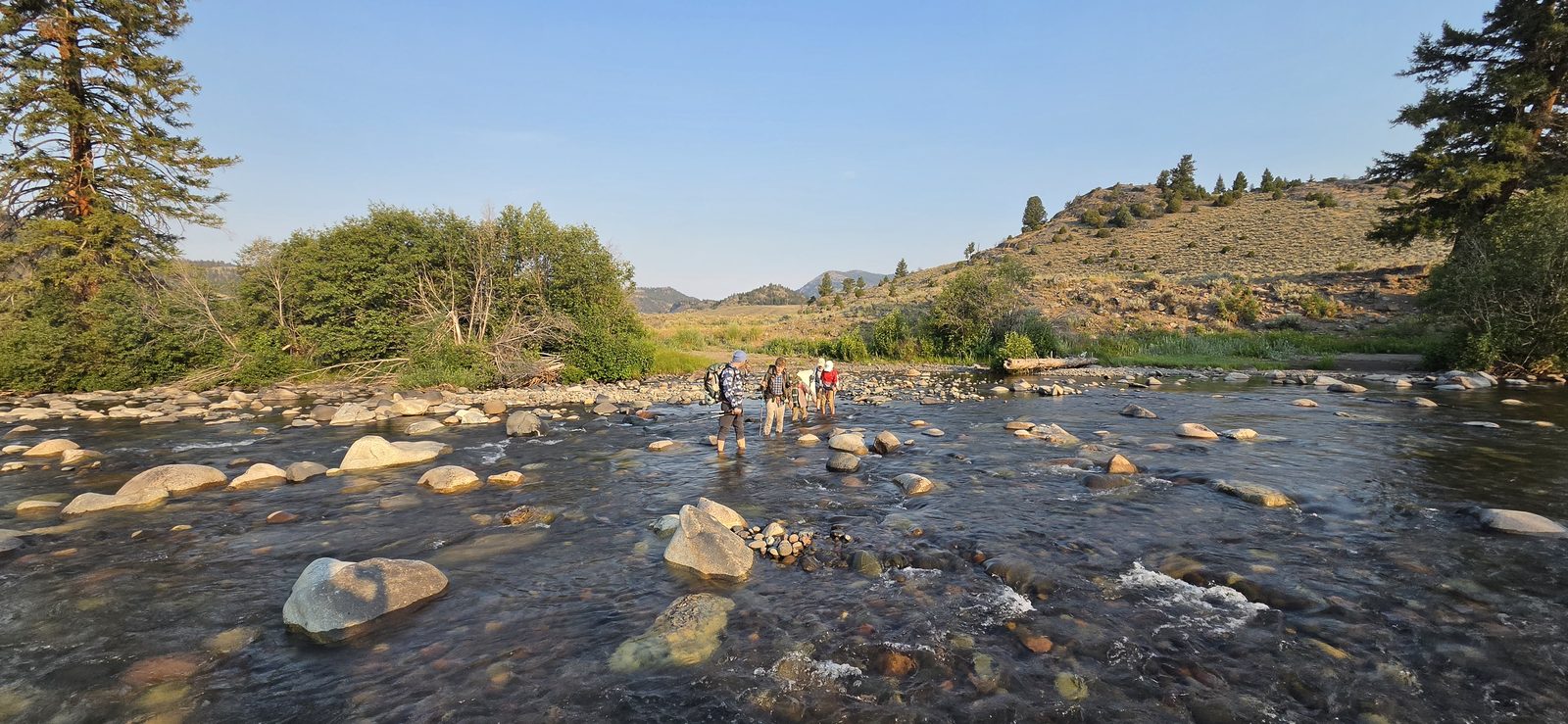 Every water crossing is a thrill with kids. Only one kid fell in - but I have a sneaking suspicion it wasn't exactly an accident. 🤣